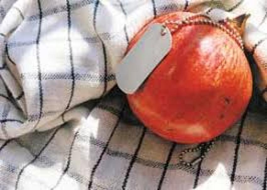 سرود گرم رهایی سرود گرم رهایی
