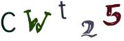 CAPTCHA ی تصویری
