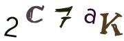 CAPTCHA ی تصویری