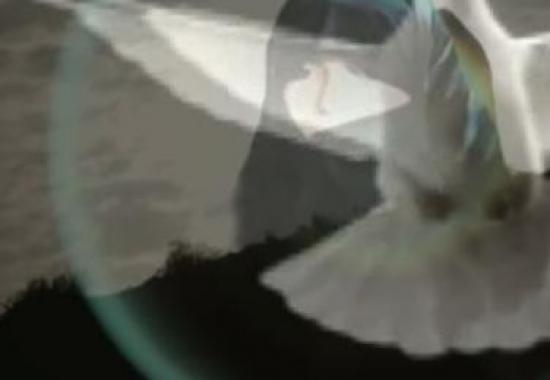 احرام آسمانی/ مستند زندگی و شهادت "شهید رقیه رضایی" + فیلم